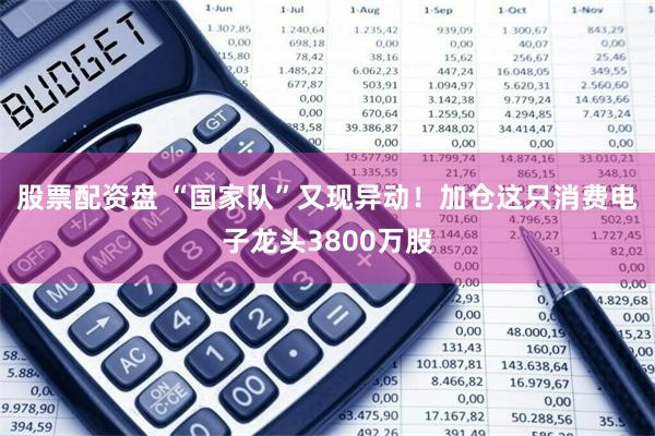 股票配资盘 “国家队”又现异动！加仓这只消费电子龙头3800万股