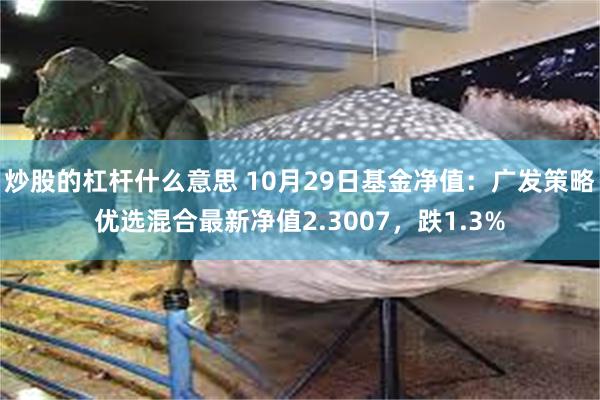 炒股的杠杆什么意思 10月29日基金净值：广发策略优选混合最新净值2.3007，跌1.3%