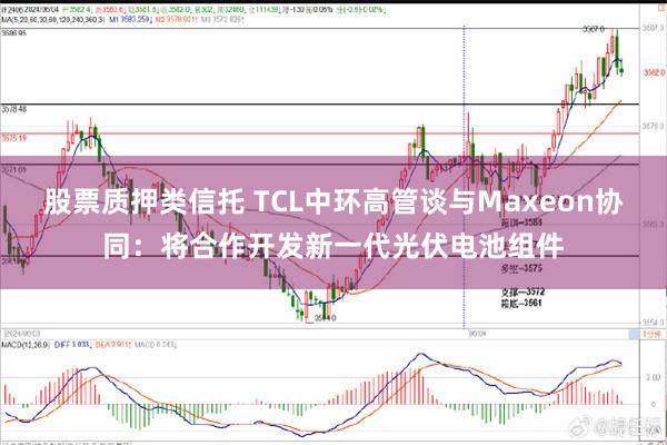 股票质押类信托 TCL中环高管谈与Maxeon协同：将合作开发新一代光伏电池组件