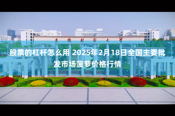 股票的杠杆怎么用 2025年2月18日全国主要批发市场菠萝价格行情